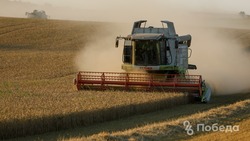 В 2022 году ставропольских производителей зерновых культур будут регистрировать в ФГИС «Зерно»