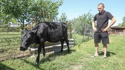Число предпринимателей и самозанятых увеличилось в Курском округе