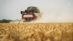 Курский округ в числе первых завершил уборку зерновых культур