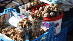 Аграрии Курского округа выращивают орехи с помощью господдержки