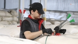 Саудовская Аравия стала главным импортёром продукции АПК Ставрополья