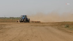 Закладка раннего картофеля проходит в Курском округе