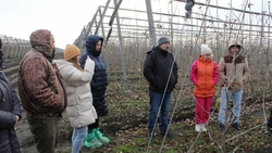 Участники «Школы фермера» прошли стажировку на крупнейших предприятиях Ставрополья