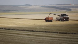 Аграрии Курского округа приступили к уборке зерновых культур