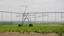 Ещё 6,6 тыс. га полей охватят орошением на Ставрополье