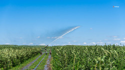 Ставропольских аграриев переведут на отечественную мелиоративную сельхозтехнику