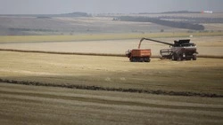 Аграрии Курского округа приступили к уборке зерновых культур