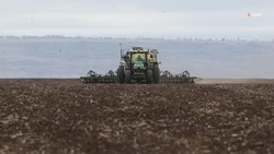 Более 800 млн рублей господдержки получили аграрии Ставрополья