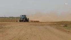 Закладка раннего картофеля проходит в Курском округе