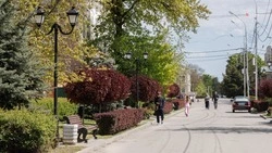 Второй этап благоустройства центрального парка стартовал в станице Курской