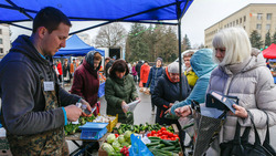 Ставропольским производителям разрешат вести нестационарную торговлю