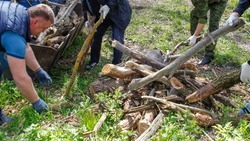 Спецбригады помогли жителям Курского округа убрать древесину