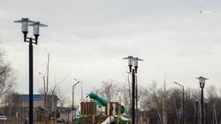 Новые фонари установили в парке села Ростовановского 