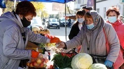 Ставропольские производители реализуют свою продукцию на 395 ярмарочных площадках 