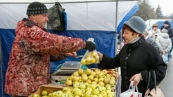 На Ставрополье проведут порядка 50 тыс. ярмарок